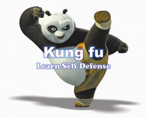 xianshoulee quotes about kung fu