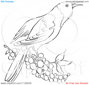 Bird With Berries Black And