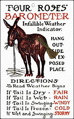 Old Time Weather Mule Forecaster