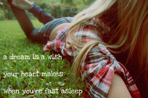 dream is a wish your heart makes when you’re fast a sleep.