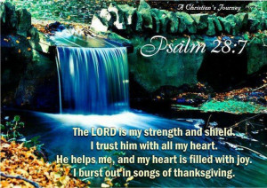 PSALM 28:7 - The Lord is my strength shield. I trust him with all my ...