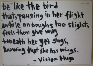 Victor Hugo & taking flight