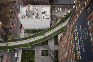 Thread: High Line Area Development