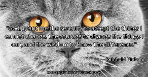... cannot-change-the-courage-to-change-the-things-i_600x315_56095.jpg