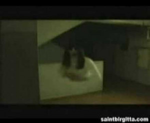 scary demons caught on camera source http scary pictures feedio net ...