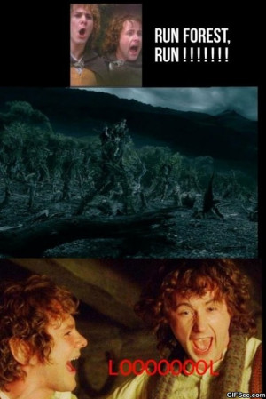 Merry Pippin Lord Of The Rings