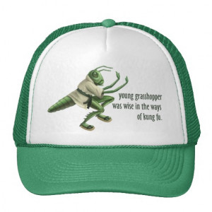 Funny Kung Fu Grasshopper Trucker Hats