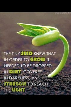 Mike Murdock Wisdom Quotes More