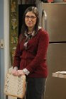Related Pictures image amy farrah fowler 187317 png the big bang ...
