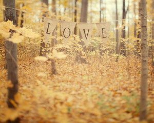 cute, photography, quote