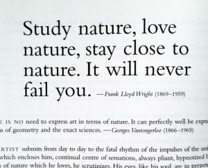 These are the flower quotes escape into the nature Pictures