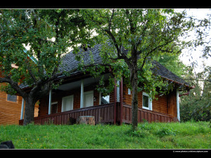 rural areas rural life in romania traditional subjects popular culture ...