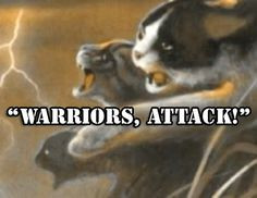 ... quotes thunderclan warriors warrior cats warriors cat warriors