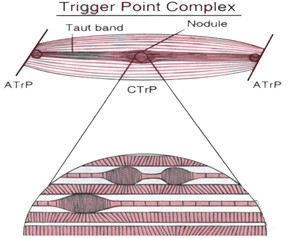 daniel petrie quotes there has been a change in attitude though daniel ...