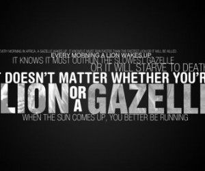 Quotes Typography Lions Motivation Gazelle Hd Wallpaper Of Wild Animal ...