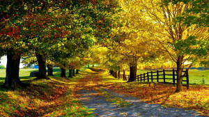 Autumn season wallpaper 5260