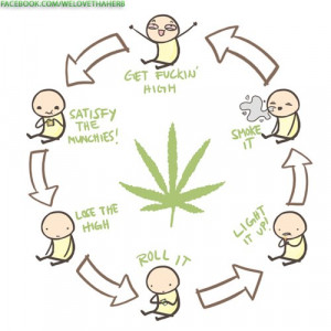 The real cycle of life...