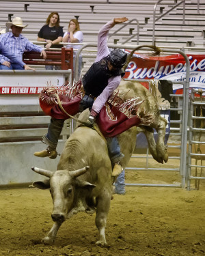 ... to see the southern pro bull riders finals recently held at