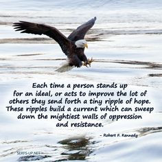Serfs Up! The Eagles Have Landed ~ Quotes for Patriots ~ http://www ...