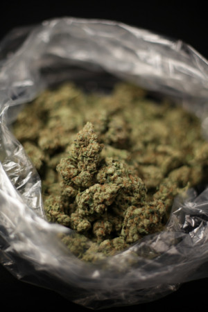 love weed marijuana smoke smoking weed blunt bong kush pot blunts ...