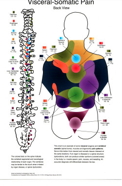 Visceral Referred Pain Chart