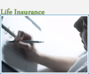 Image of instant car insurance quote