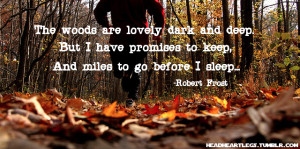 and deep. But I have promises to keep, and miles to go before I sleep ...