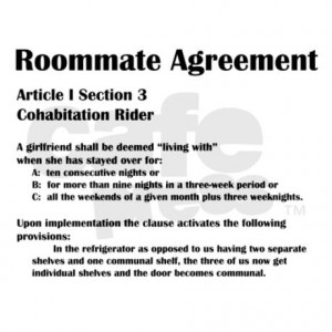 Big Bang Theory Roommate Agreement