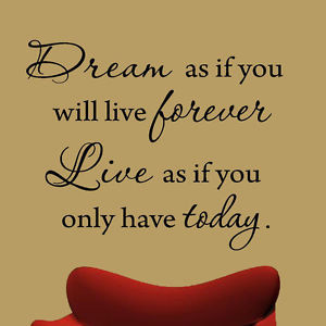 ... -If-You-Will-Live-Forever-Vinyl-Wall-Decal-Inspirational-Quote-Saying