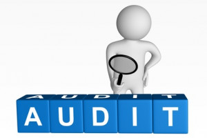 Telecom Auditing and Telecom Audits