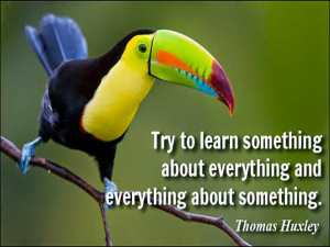 Learning-quotes-Try-to-learn-something-about.jpg