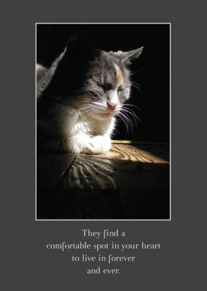 ... go directly to Animal Sympathy Cards page on the online Marketplace