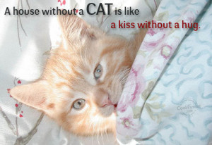 Cats Quote: A house without a cat is like... Cat- (2)