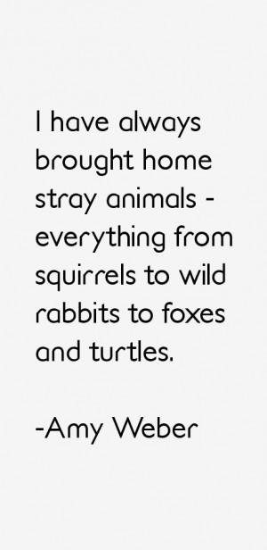 ... - everything from squirrels to wild rabbits to foxes and turtles