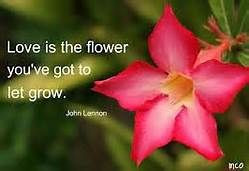 Famous Quotes About Flowers - Bing Images