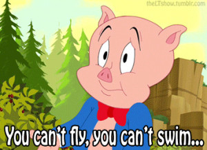 cartoons & comics porky pig animated GIF