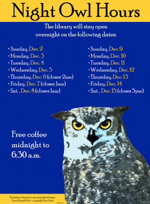 Night Owl Hours