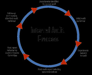 Internal audit process