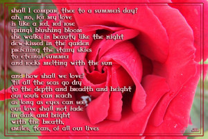 25 Short Love Poems for Lovers