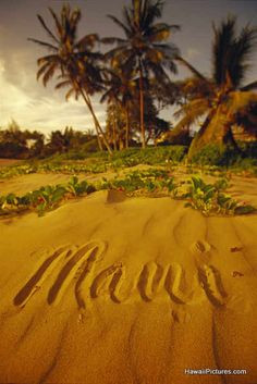 Maui Hawaii USAMaui,
