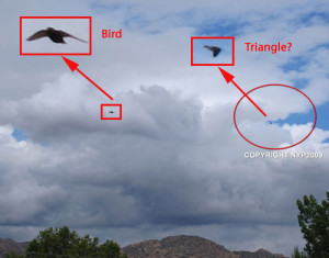 Location of Sighting: Simi Valley, California (About 20 Miles NW of ...