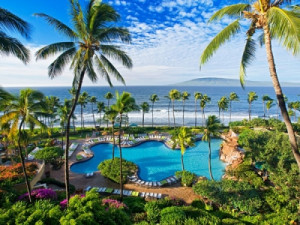 ファミリー向けのアクティビティが豊富な ...