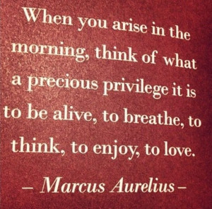 Marcus Aurelius Quotes