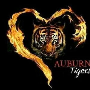 Auburn Tigers...