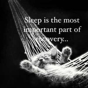 ... igers#fitlife #photooftheday#quote#stayforeverfit#workout#getfit