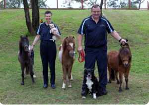 Toowoomba Pets Rest Peace...