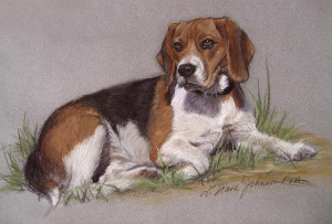 Regal Beagle Painting