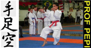 karate do,kung fu,londrina,curitiba,blumenau.joinville,florianópolis ...