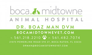 Veterinarian Funny Animal Quotes