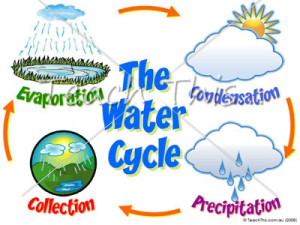 Water Cycle Diagram Worksheet For Kids #12